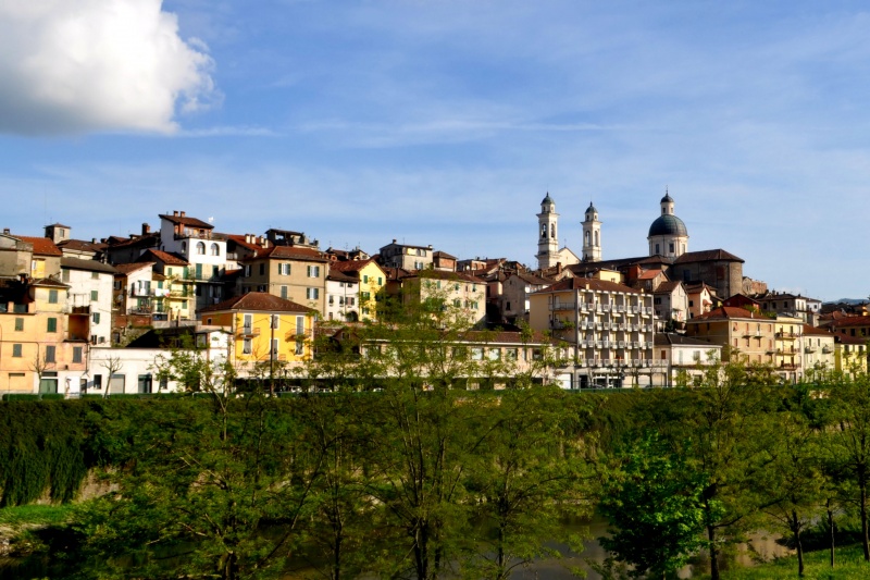 Alessandria - vista della città Alessandria - vista della città