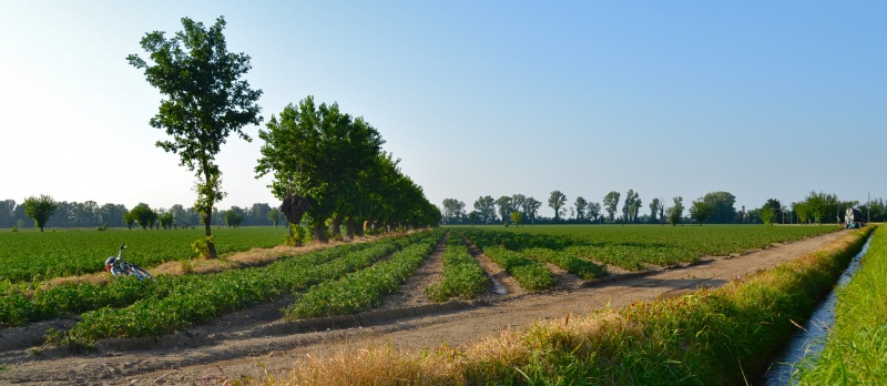 Piacenza Panorama nei Campi