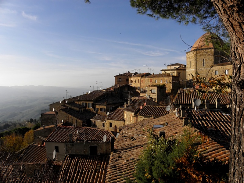 Pisa online coupons